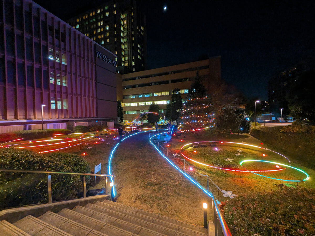 帝京大学 板橋キャンパス イルミネーション