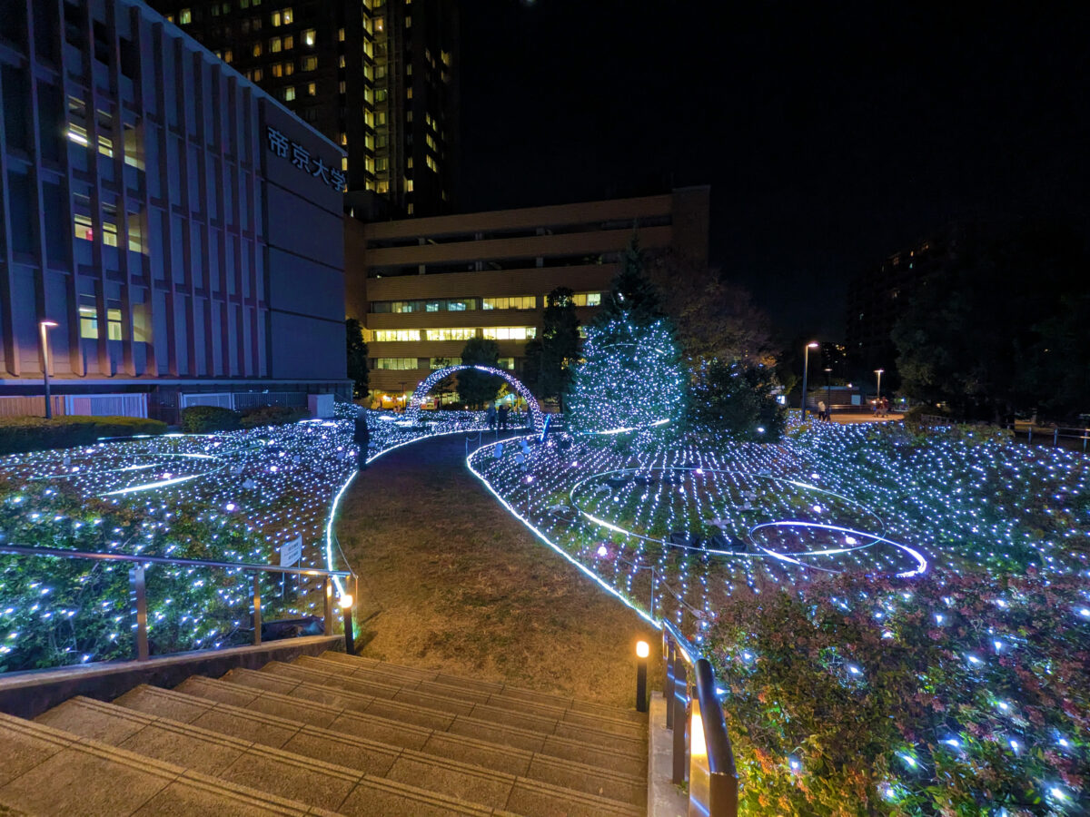 帝京大学 板橋キャンパス イルミネーション