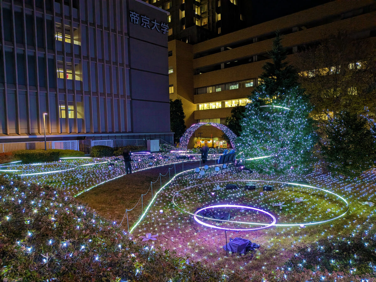 帝京大学 板橋キャンパス イルミネーション