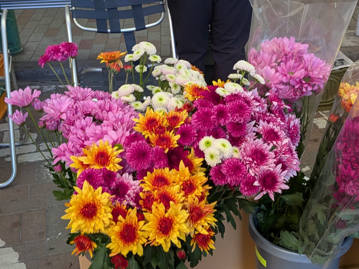 赤羽 中之条町フェア