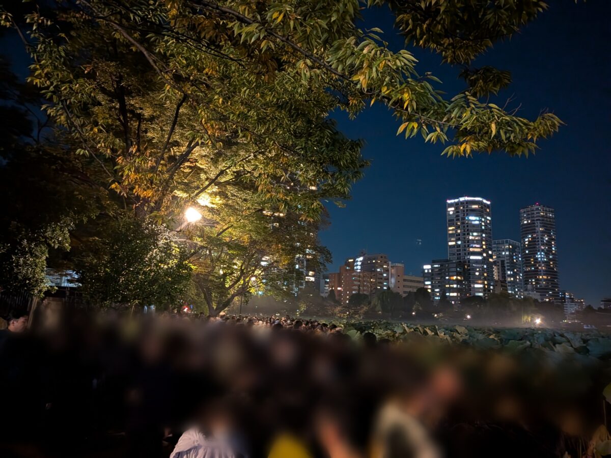 上野公園 不忍池