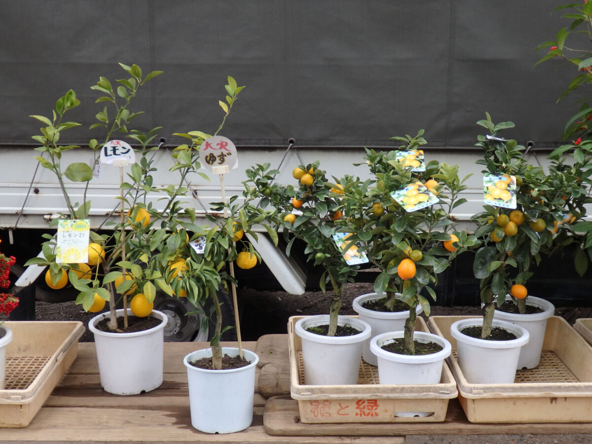 王子神社 熊手市