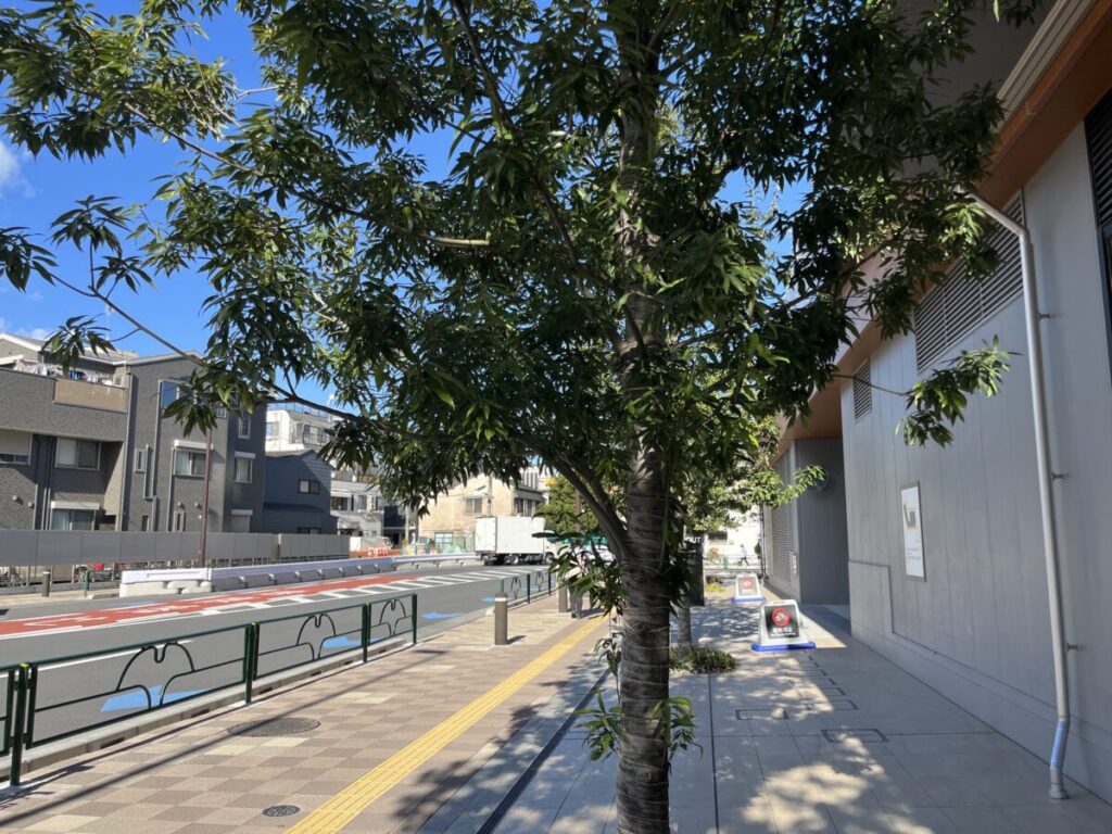 十条 楊國福麻辣湯(ヤンゴフマーラータン) 十条店