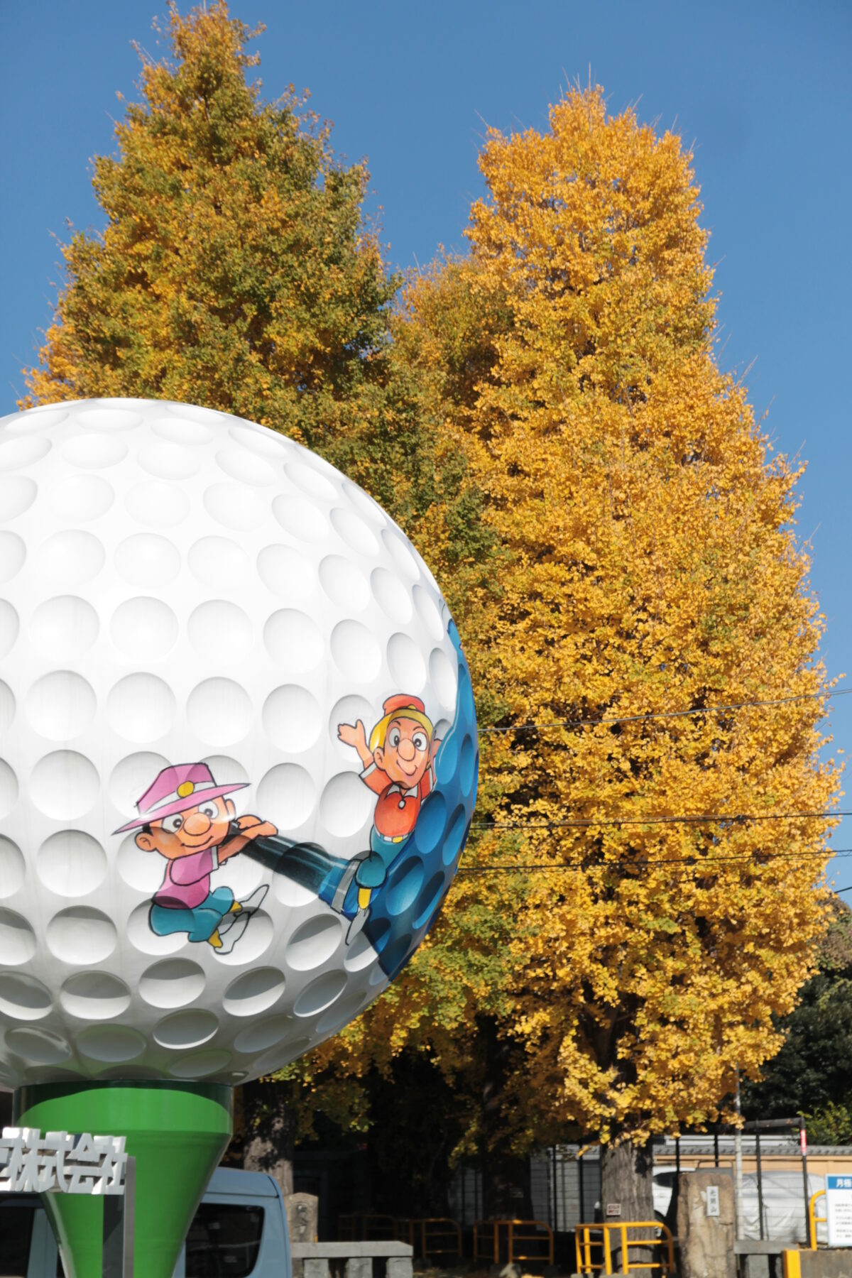 円勝寺 イチョウ