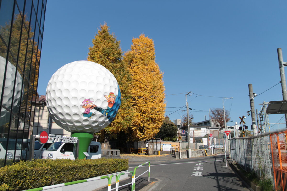 円勝寺 イチョウ