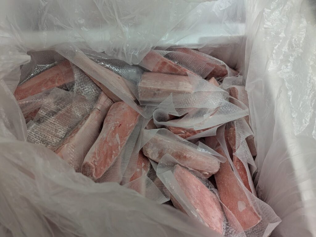 赤羽国産本マグロのワンコイン直売品