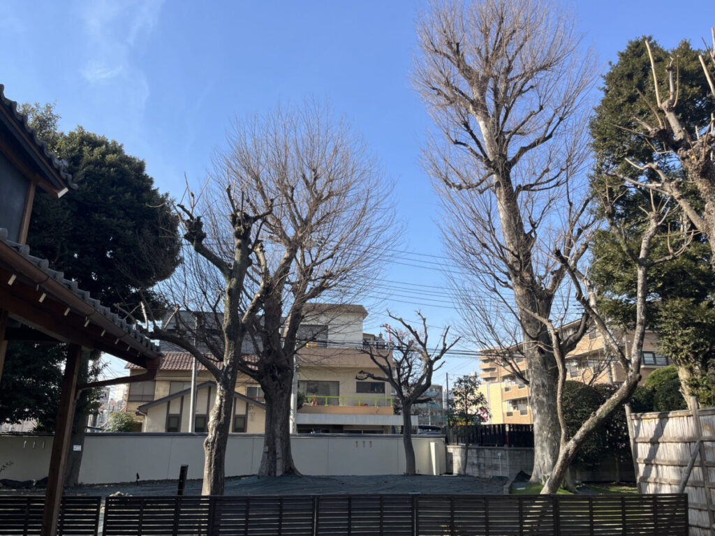 小豆沢 板橋ととと