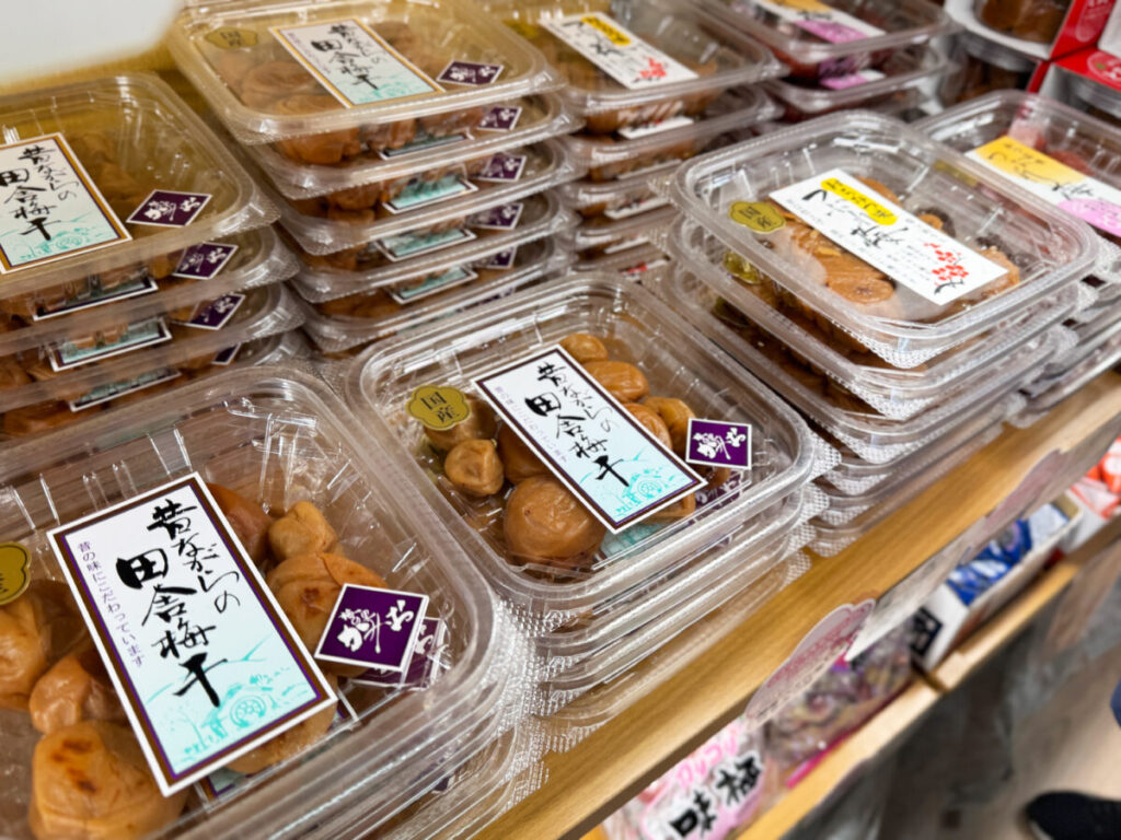 駒込　梅祭TOKYO