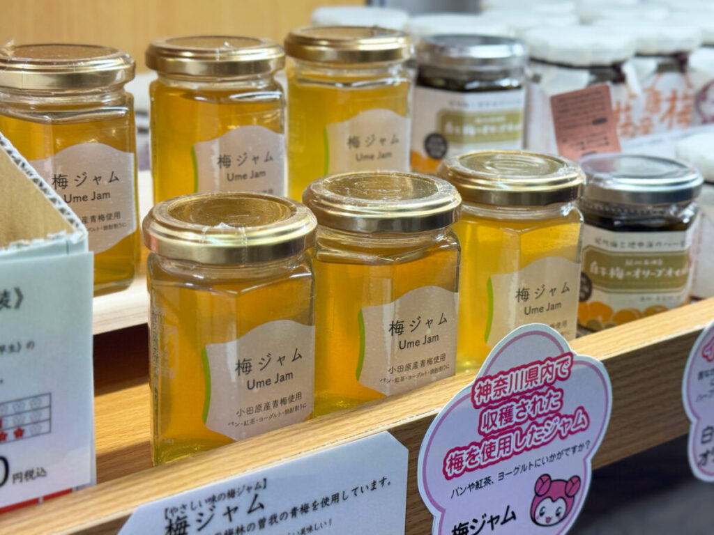 駒込　梅祭TOKYO