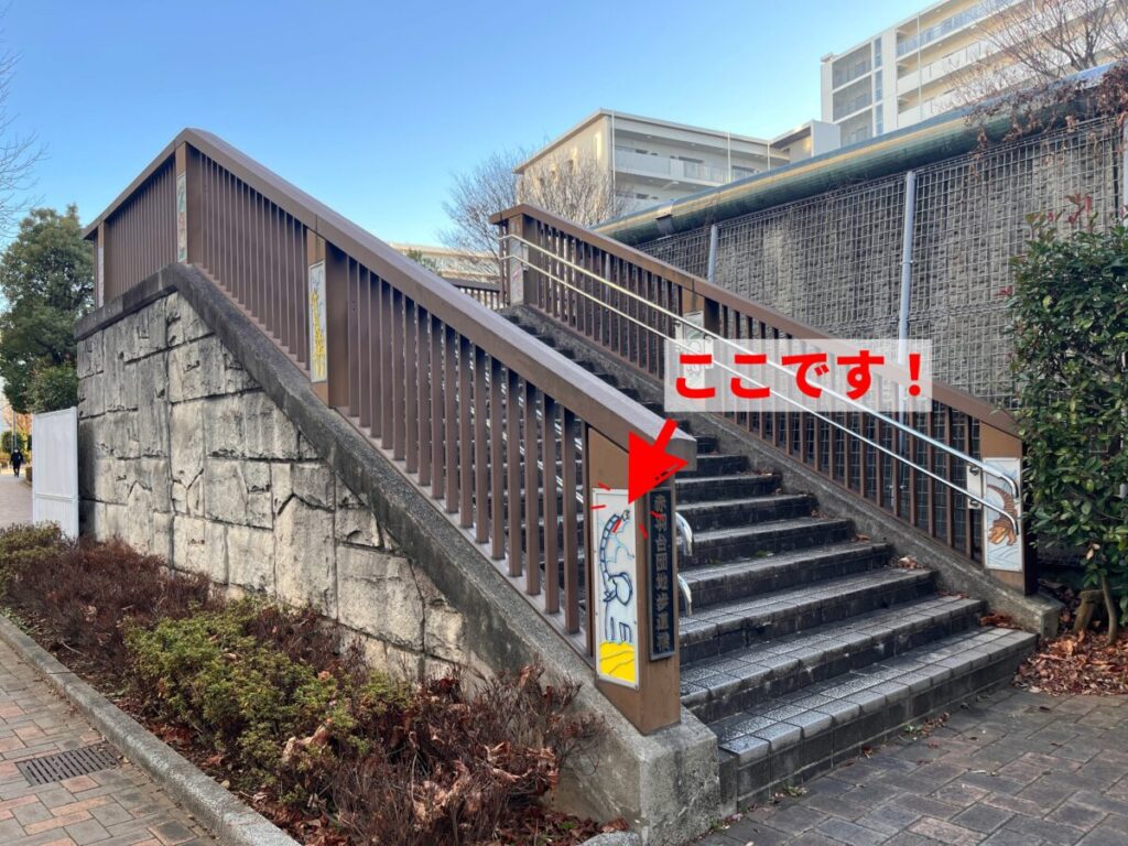 赤羽台団地遊歩道