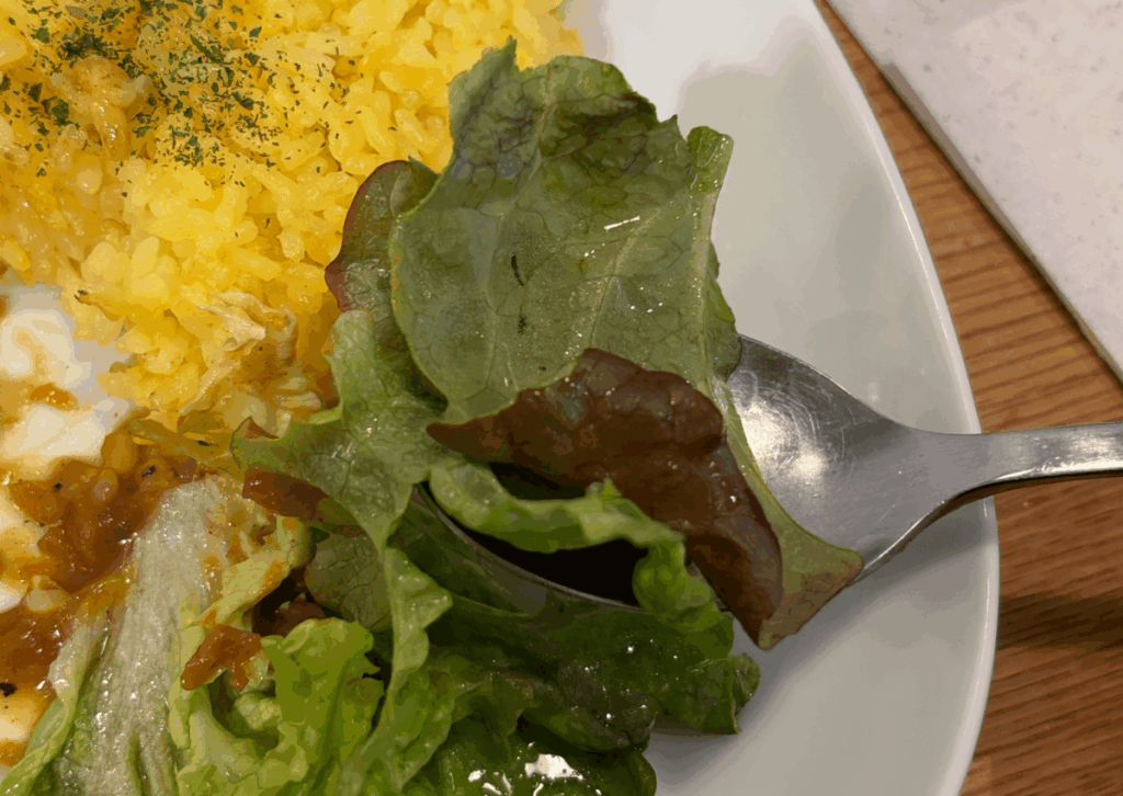 赤羽 べスティーズカフェ とろける豚の角煮カレー