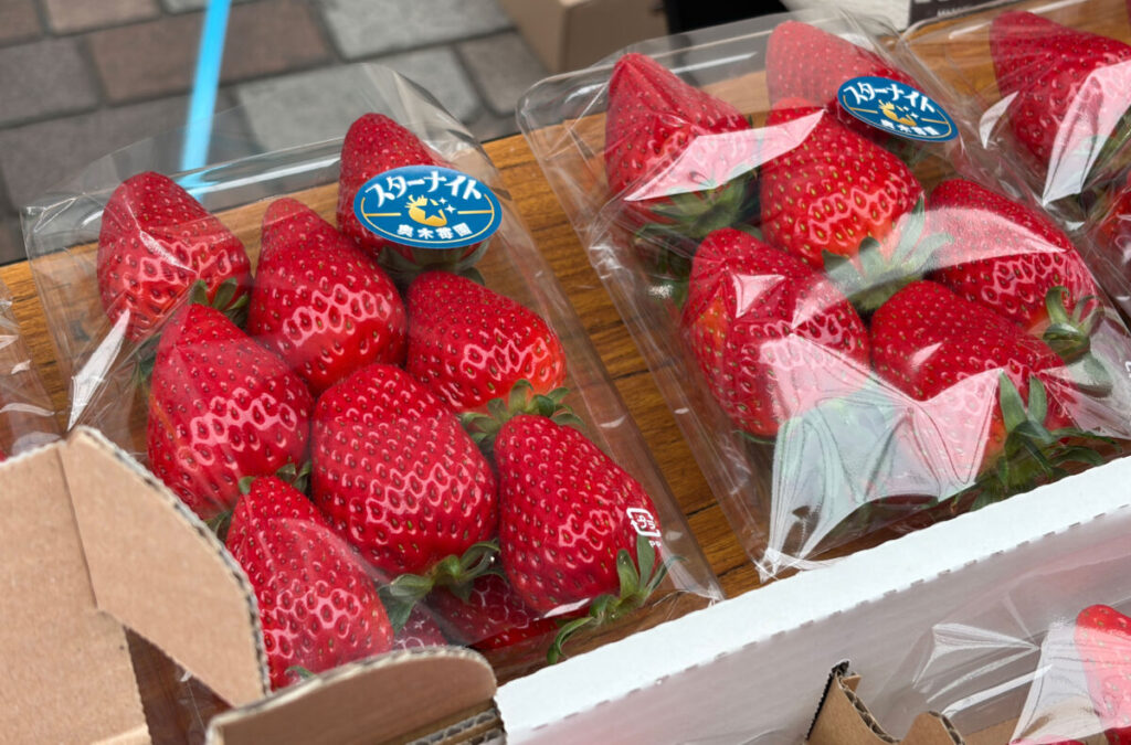 ララガーデン いちごフェア